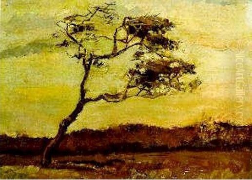 Wind Beaten Tree A - view 1