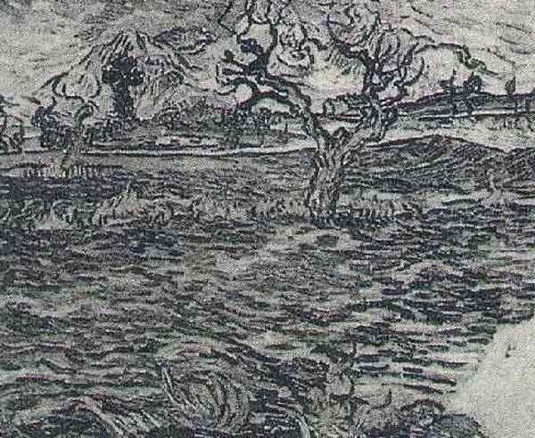 Landscape With Olive Tree And Mountains In The Background - view 1