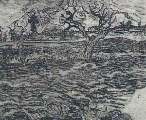 Landscape With Olive Tree And Mountains In The Background
