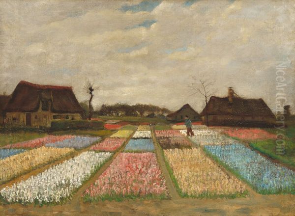 Bulb Fields - view 1