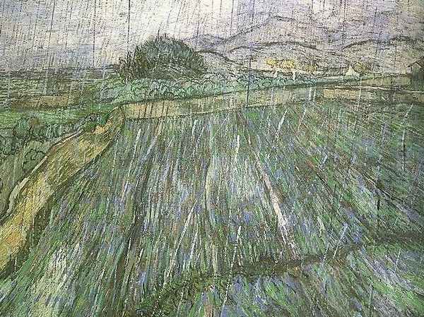 Wheat Field In Rain - view 1