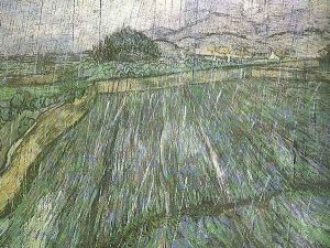 Wheat Field In Rain by Vincent Van Gogh