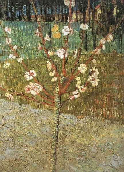 Flowering Almond Tree - view 1