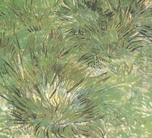 Clumps Of Grass