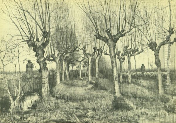 Pollard Birches - view 1