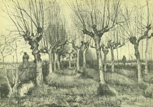 Pollard Birches by Vincent Van Gogh