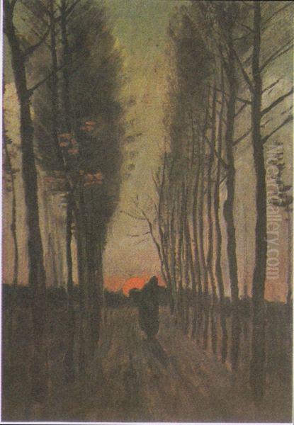 Avenue Of Poplars At Sunset - view 1