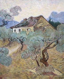 The White Cottage Among The Olive Trees by Vincent Van Gogh