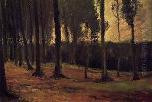 Edge Of A Wood