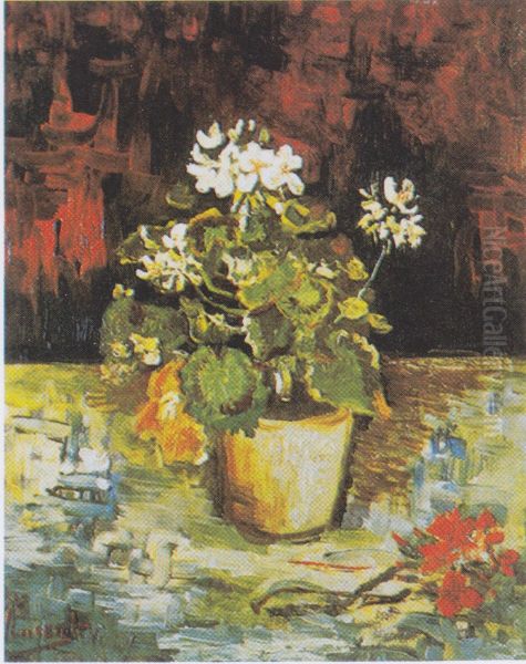 Geranium In A Flowerpot - view 1