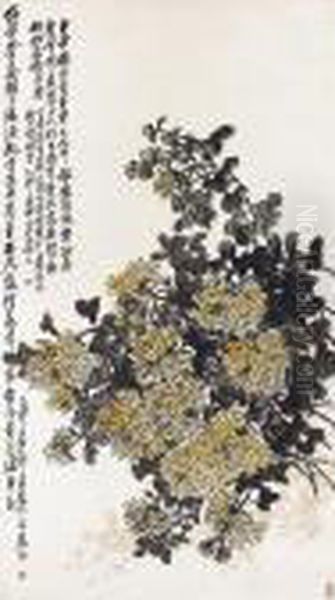 Chrysanthemum - view 1