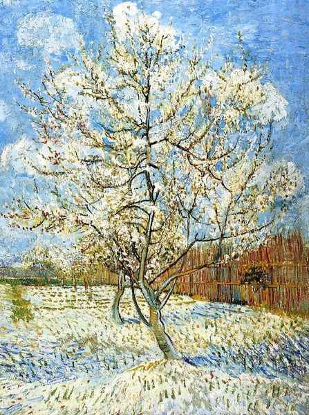 Peach Tree In Blossom - view 1
