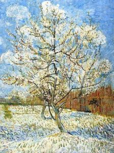 Peach Tree In Blossom