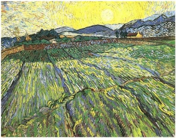 Enclosed Field With Rising Sun - view 1