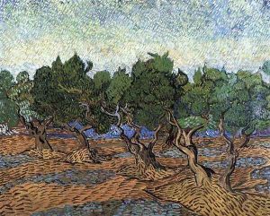 Olive Grove III