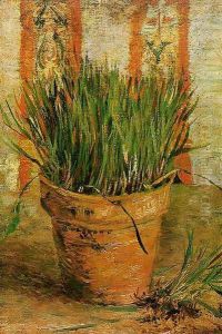 Flowerpot With Chives