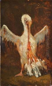Pelican Et Ses Petits