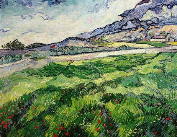 Green Wheat Field - view 1