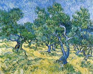 Olive Grove II by Vincent Van Gogh