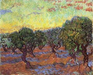 Olive Grove I by Vincent Van Gogh