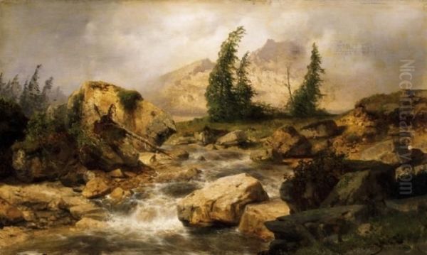 Landscape In The Alps With A Torrential Brook - view 1
