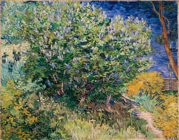 Lilacs II - view 1