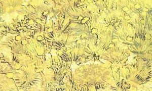 Field Of Yellow Flowers A by Vincent Van Gogh