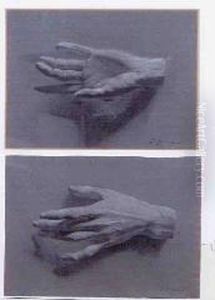 Studi Di Mano Studi Di Mano