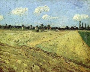 Ploughed Field