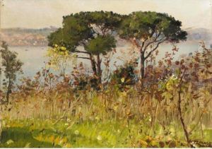 Two Pines On The Hills Above Beylerbeyi, Istanbul by Fausto Zonaro