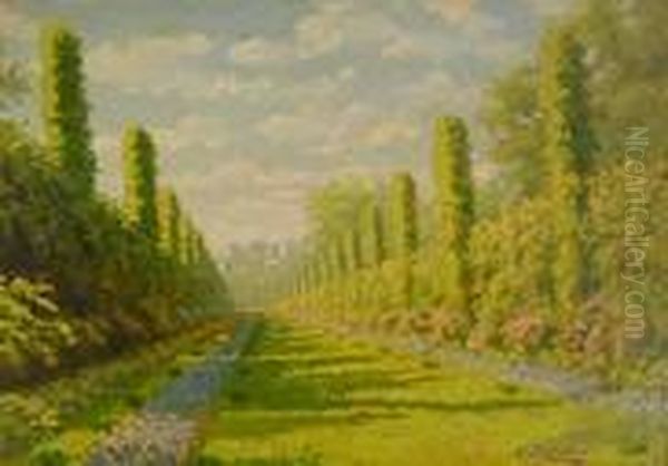 Villa Con Viale Alberato - view 1
