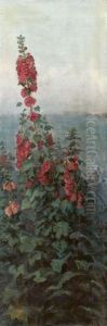 Fiori Rossi Fiori Rossi