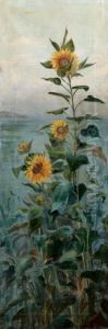 Girasoli