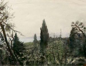 Veduta Del Bosforo Con Cipressi by Fausto Zonaro