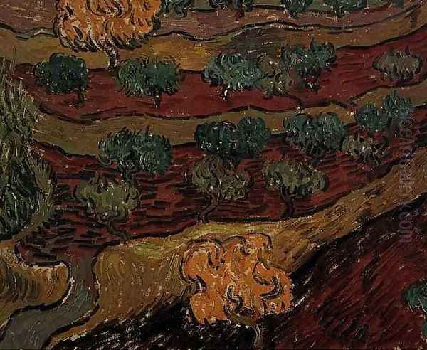 Olive Trees Against A Slope Of A Hill - view 1