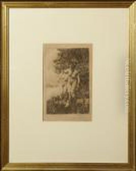 "alder -
Al" - view 1