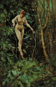 Nudo Femminile Sualbero Nudo Femminile Sualbero