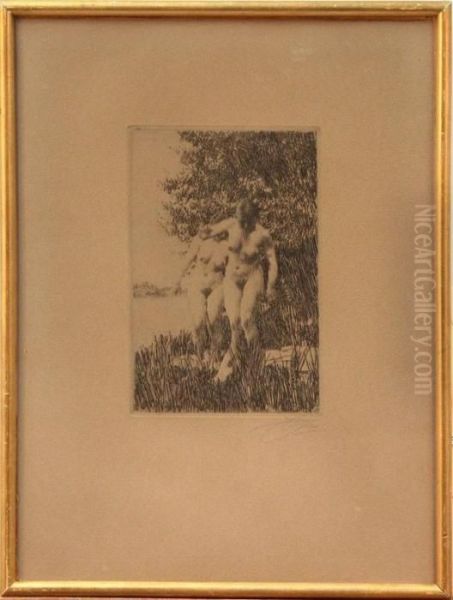 Alder - view 1