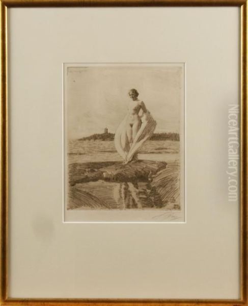 Svanen - view 1