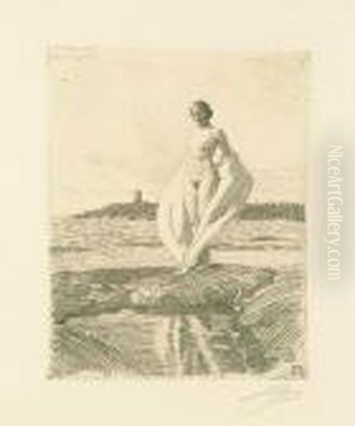 The Swan. - view 1