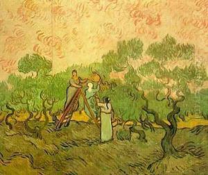 Olive Picking II