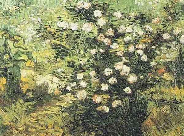 Rosebush In Blossom - view 1