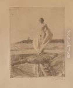 Svanen by Anders Zorn