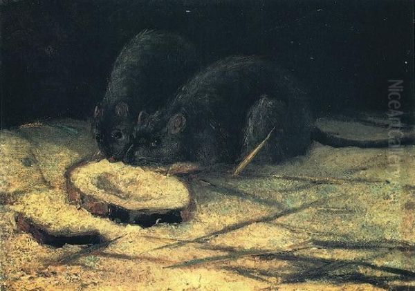 Two Rats - view 1