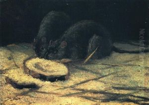 Two Rats
