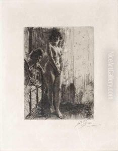 A Dark Corner by Anders Zorn