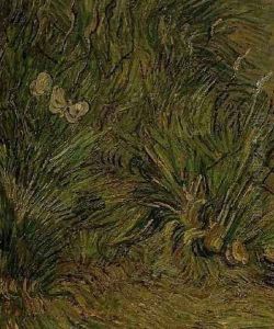 Two White Butterflies by Vincent Van Gogh