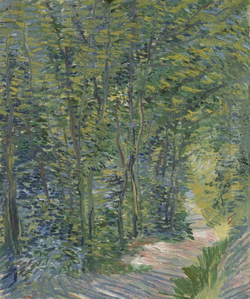 Path In The Woods - view 1