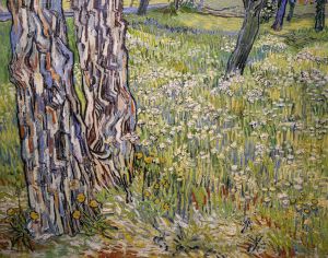 Pine Trees And Dandelions In The Garden Of Saint Paul Hospital