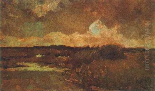 Marshy Landscape - view 1